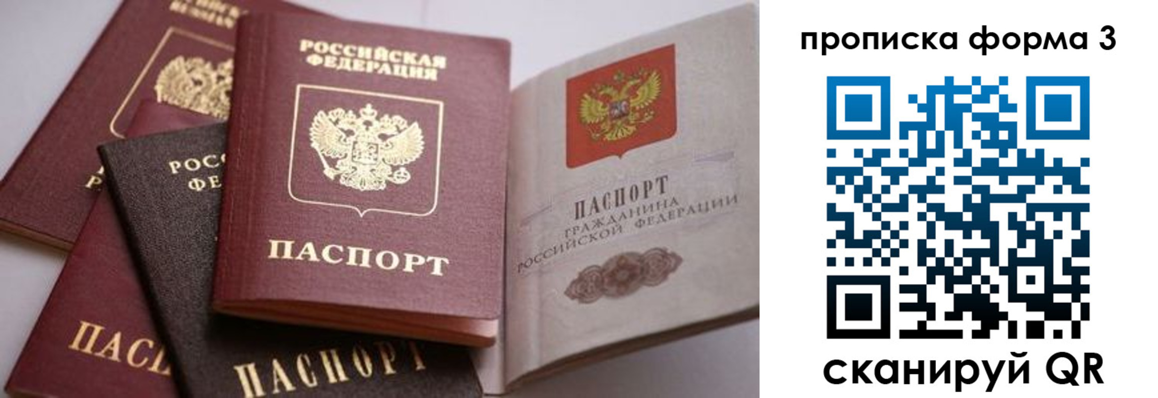прописка для школы в Дмитрове